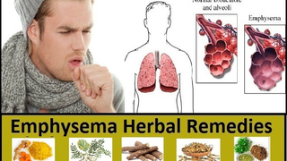 Herbal Treatment for Emphysema